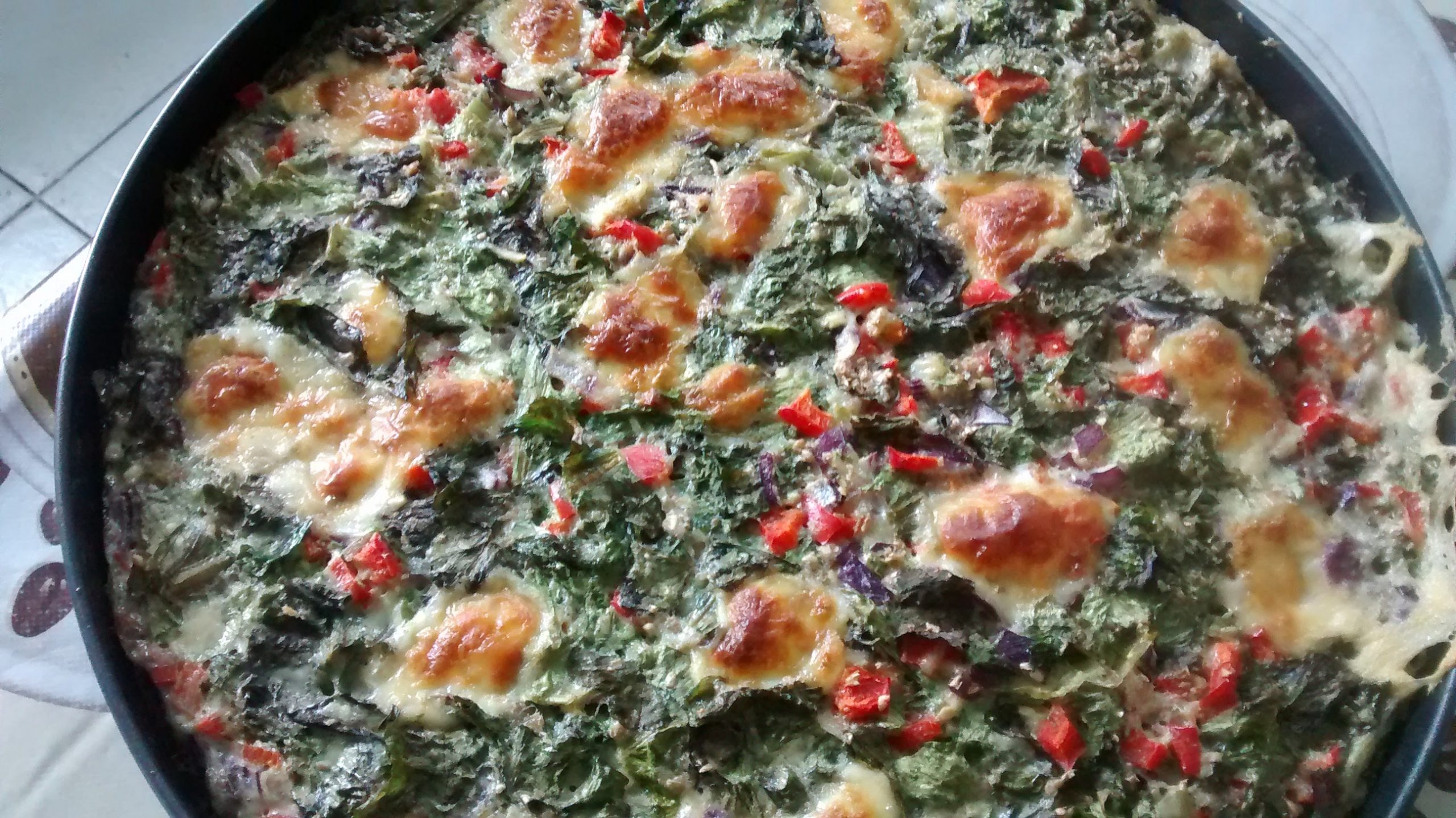 faina de lechuga